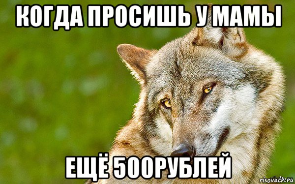 когда просишь у мамы ещё 500рублей, Мем   Volf