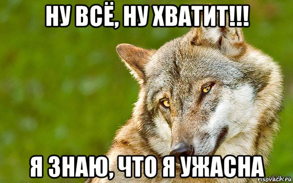 ну всё, ну хватит!!! я знаю, что я ужасна, Мем   Volf