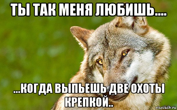 ты так меня любишь.... ...когда выпьешь две охоты крепкой.., Мем   Volf