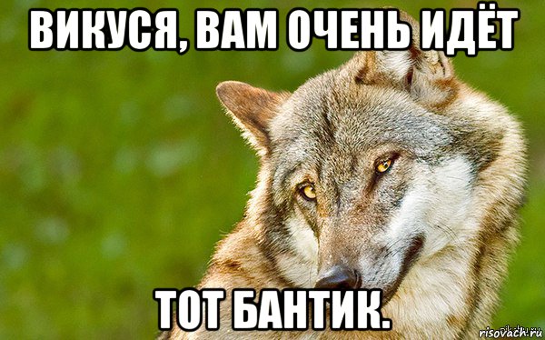 викуся, вам очень идёт тот бантик., Мем   Volf