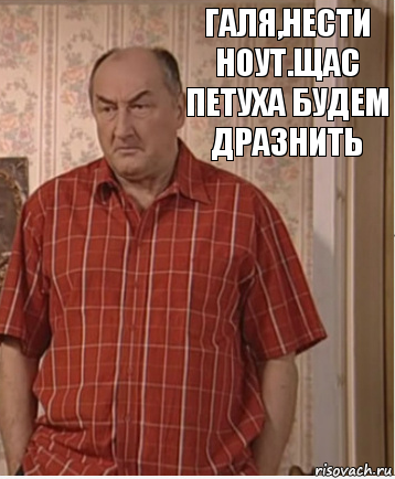 Галя,нести ноут.Щас петуха будем дразнить, Комикс Николай Петрович Воронин