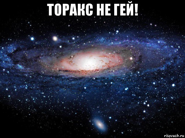 торакс не гей! , Мем Вселенная