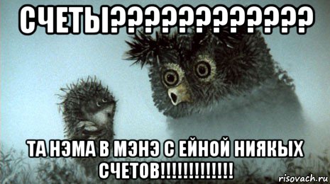 счеты???????????? та нэма в мэнэ с ейной ниякых счетов!!!!!!!!!!!!!, Мем Ёжик в Тумане