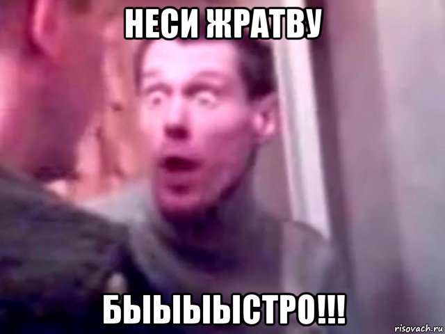 неси жратву быыыыстро!!!, Мем Запили