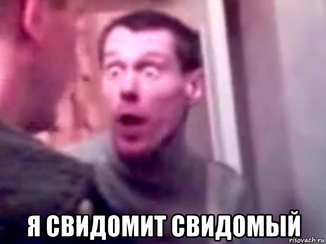  я свидомит свидомый