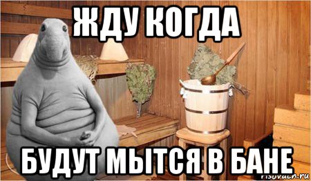 жду когда будут мытся в бане, Мем  Ждун в бане