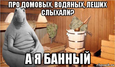 про домовых, водяных, леших слыхали? а я банный, Мем  Ждун в бане