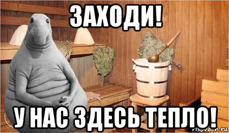 заходи! у нас здесь тепло!, Мем  Ждун в бане