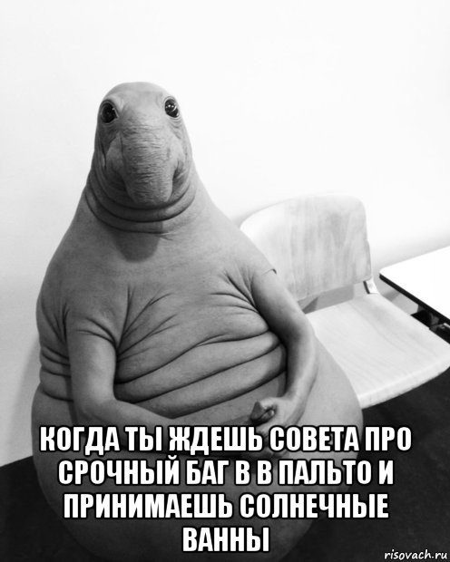  когда ты ждешь совета про срочный баг в в пальто и принимаешь солнечные ванны, Мем  Ждун