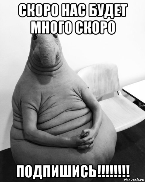 скоро нас будет много скоро подпишись!!!!!!!!, Мем  Ждун