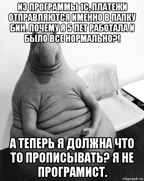 из программы 1с, платежи отправляются именно в папку бин. почему я 5 лет работала и было все нормально?! а теперь я должна что то прописывать? я не програмист., Мем  Ждун