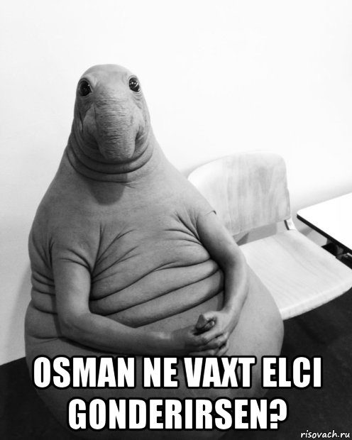  osman ne vaxt elci gonderirsen?, Мем  Ждун