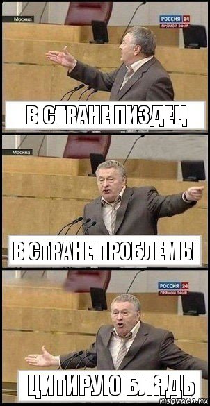 В стране пиздец В стране проблемы Цитирую блядь, Комикс Жириновский разводит руками 3