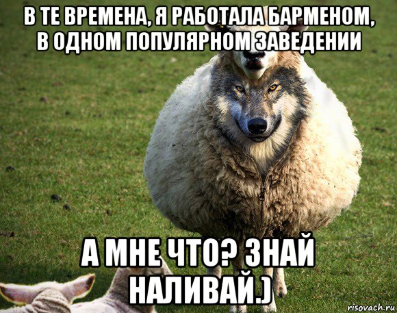 в те времена, я работала барменом, в одном популярном заведении а мне что? знай наливай.), Мем Злая Овца