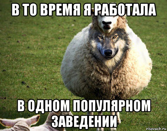 в то время я работала в одном популярном заведении, Мем Злая Овца