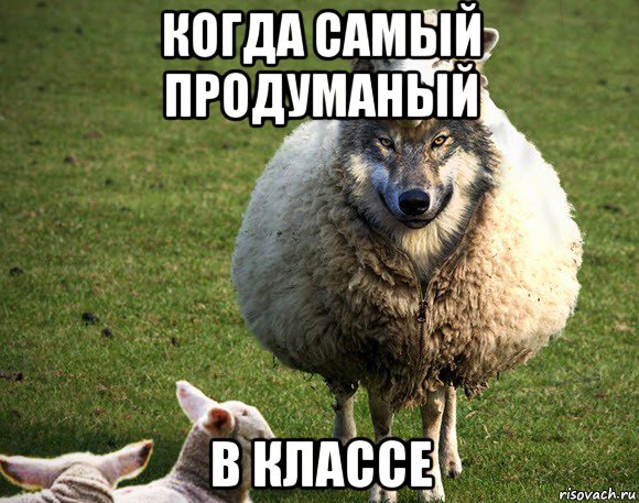 когда самый продуманый в классе, Мем Злая Овца