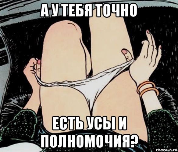 а у тебя точно есть усы и полномочия?, Мем А ты точно