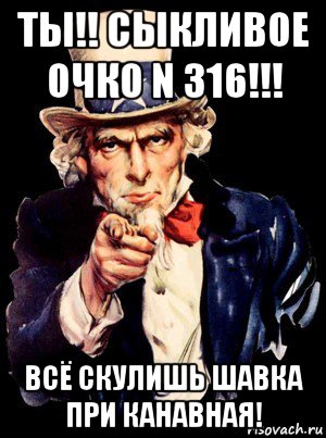 ты!! сыкливое очко n 316!!! всё скулишь шавка при канавная!, Мем а ты