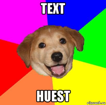 text huest, Мем Advice Dog