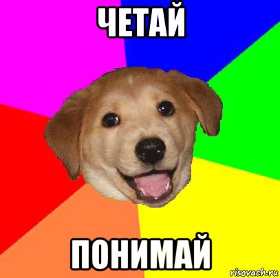 четай понимай, Мем Advice Dog