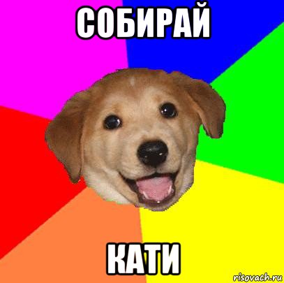 собирай кати, Мем Advice Dog