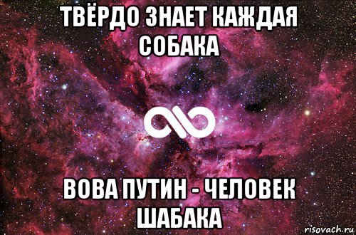 твёрдо знает каждая собака вова путин - человек шабака