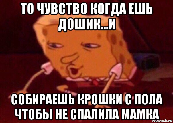 то чувство когда ешь дошик...и собираешь крошки с пола чтобы не спалила мамка, Мем    Bettingmemes