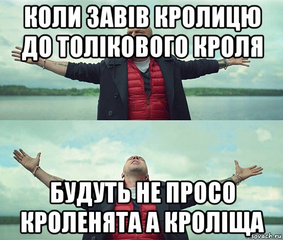 коли завів кролицю до толікового кроля будуть не просо кроленята а кроліща, Мем Безлимитище