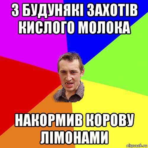 з будунякі захотів кислого молока накормив корову лімонами, Мем Чоткий паца