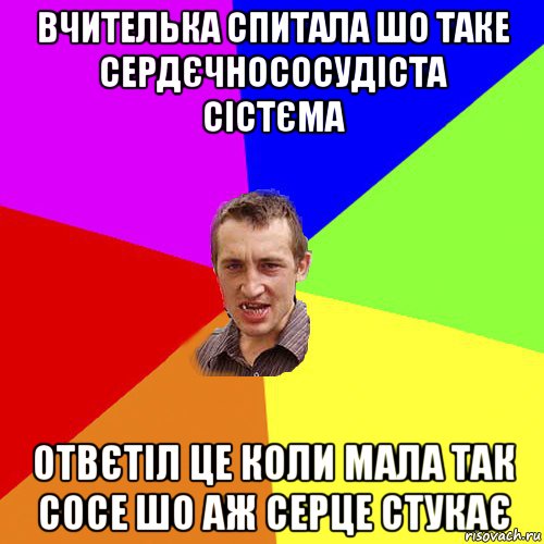 вчителька спитала шо таке сердєчнососудіста сістєма отвєтіл це коли мала так сосе шо аж серце стукає, Мем Чоткий паца