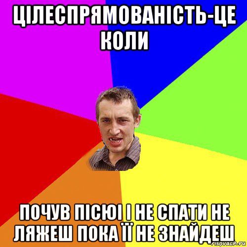 цілеспрямованість-це коли почув пісюі і не спати не ляжеш пока її не знайдеш, Мем Чоткий паца