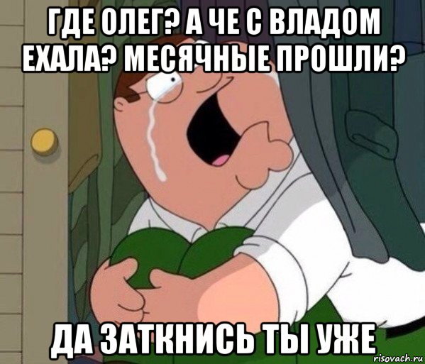 где олег? а че с владом ехала? месячные прошли? да заткнись ты уже, Мем Да заткнись ты уже