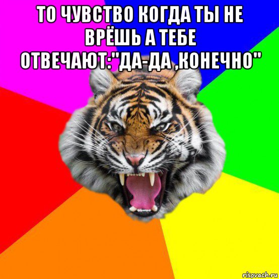 то чувство когда ты не врёшь а тебе отвечают:"да-да ,конечно" , Мем  ДЕРЗКИЙ ТИГР