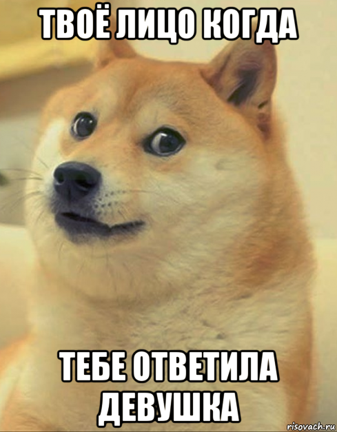 твоё лицо когда тебе ответила девушка, Мем doge woof