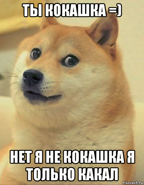 ты кокашка =) нет я не кокашка я только какал, Мем doge woof