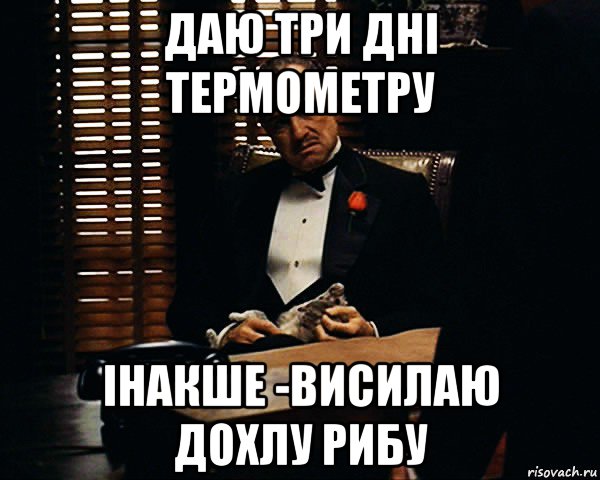 даю три дні термометру інакше -висилаю дохлу рибу, Мем Дон Вито Корлеоне