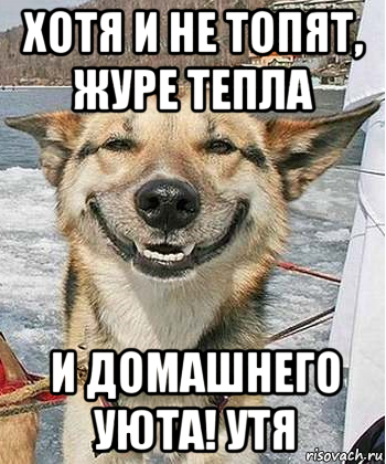 хотя и не топят, журе тепла и домашнего уюта! утя