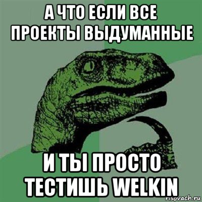 а что если все проекты выдуманные и ты просто тестишь welkin, Мем Филосораптор