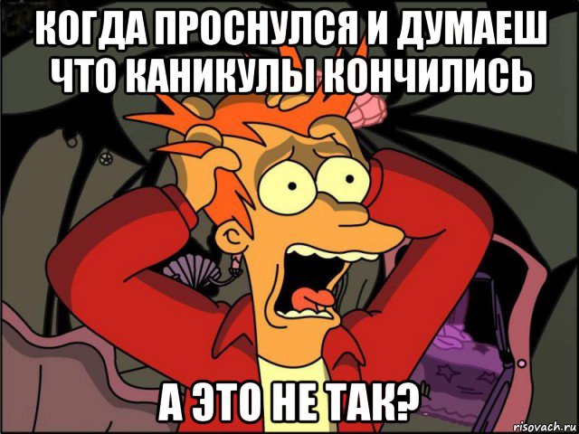 когда проснулся и думаеш что каникулы кончились а это не так?, Мем Фрай в панике