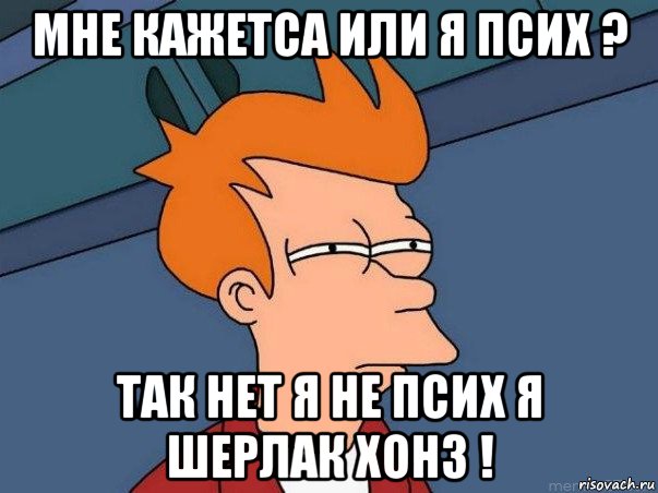 мне кажетса или я псих ? так нет я не псих я шерлак хонз !, Мем  Фрай (мне кажется или)