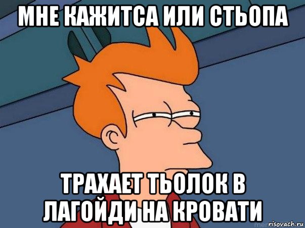 мне кажитса или стьопа трахает тьолок в лагойди на кровати, Мем  Фрай (мне кажется или)