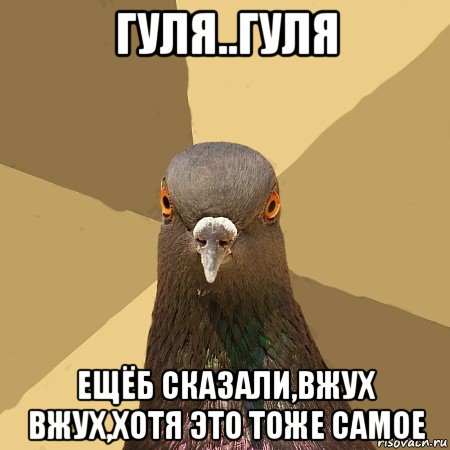 гуля..гуля ещёб сказали,вжух вжух,хотя это тоже самое, Мем голубь