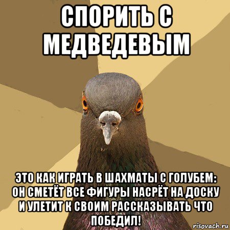 спорить с медведевым это как играть в шахматы с голубем: он сметёт все фигуры насрёт на доску и улетит к своим рассказывать что победил!, Мем голубь