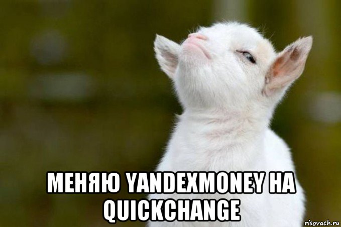  меняю yandexmoney на quickchange, Мем  Гордый козленок