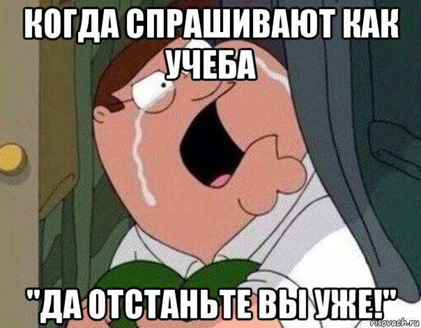 когда спрашивают как учеба "да отстаньте вы уже!", Мем Гриффин плачет