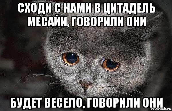 сходи с нами в цитадель месайи, говорили они будет весело, говорили они, Мем  Грустный кот