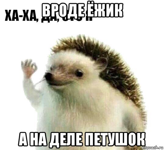 вроде ёжик а на деле петушок, Мем Ха-ха да это я