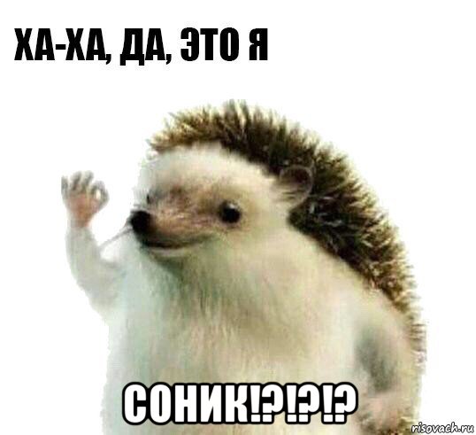  соник!?!?!?, Мем Ха-ха да это я