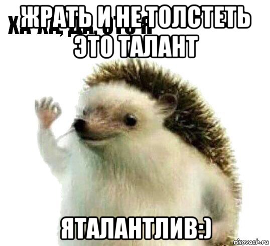 жрать и не толстеть это талант яталантлив:), Мем Ха-ха да это я