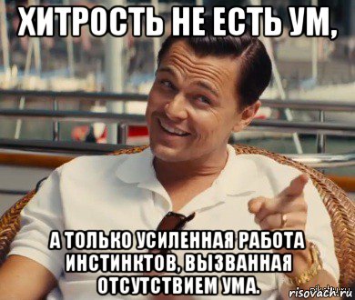 хитрость не есть ум, а только усиленная работа инстинктов, вызванная отсутствием ума., Мем Хитрый Гэтсби